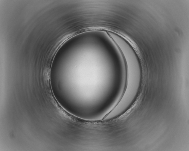 X0000113180809200909041342