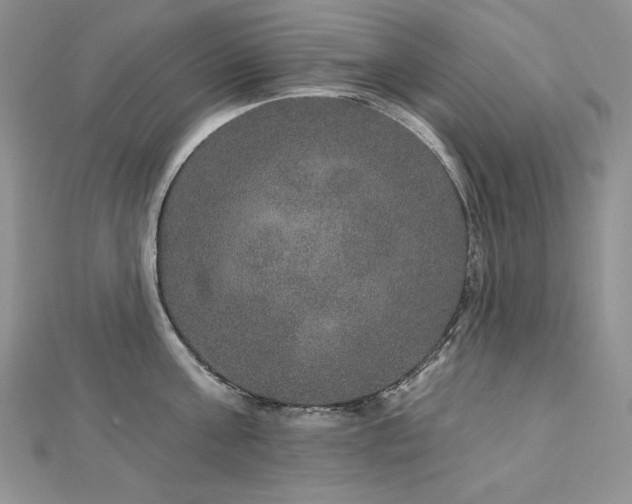 X0000113180811200909041342