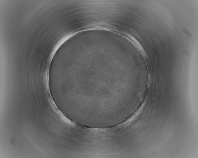 X0000113180812200909041342