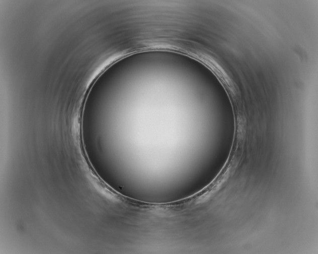 X0000113180814200909041342