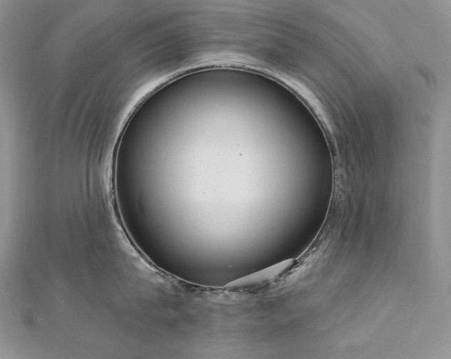 X0000113180815200909041342