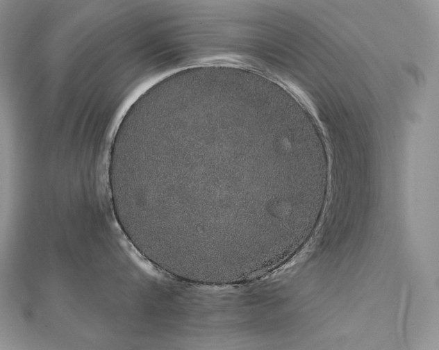 X0000113180816200909041342