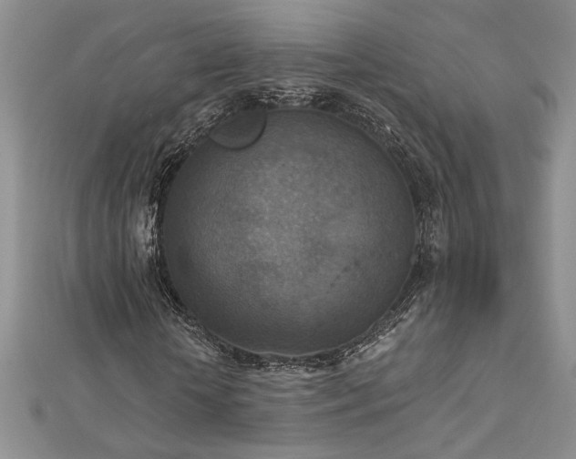 X0000113180818200909041341