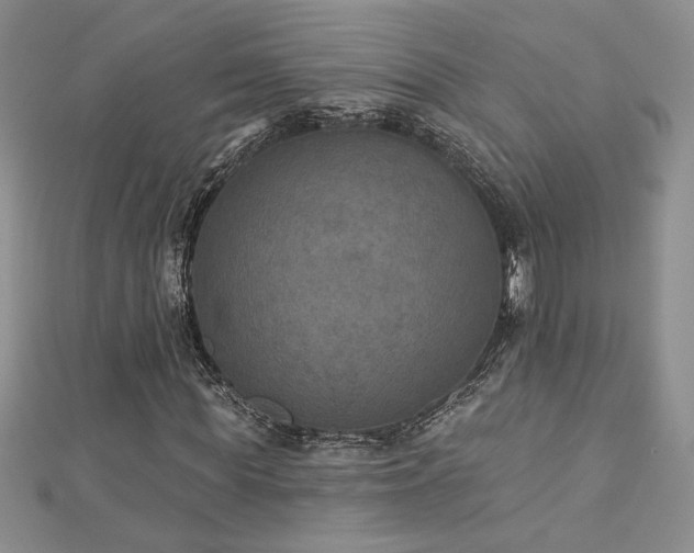 X0000113180819200909041341