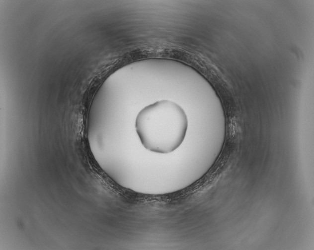 X0000113180820200909041341