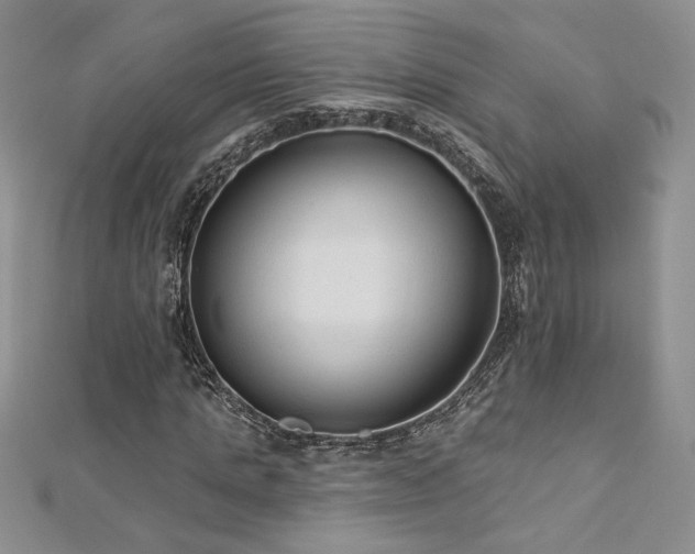 X0000113180821200909041341