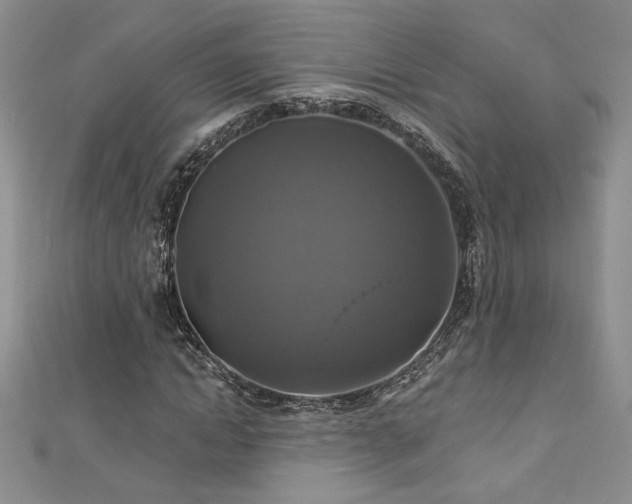 X0000113180822200909041341