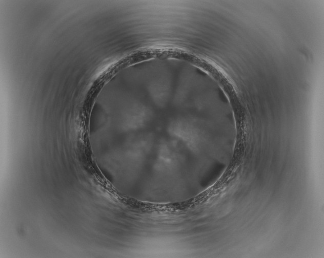 X0000113180823200909041341