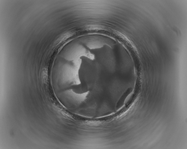 X0000113180825200909041341