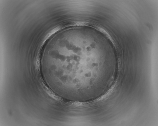 X0000113180827200909041341