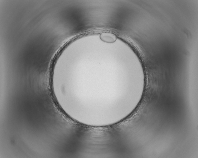 X0000113180828200909041341