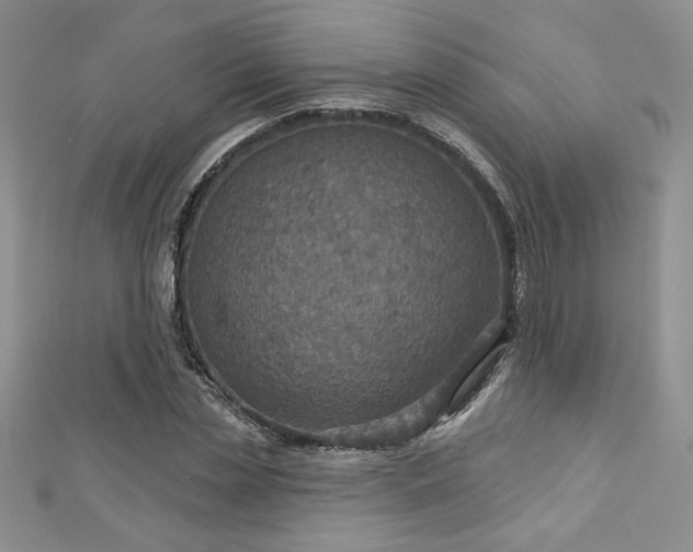 X0000113180829200909041341