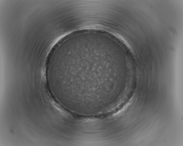 X0000113180830200909041341