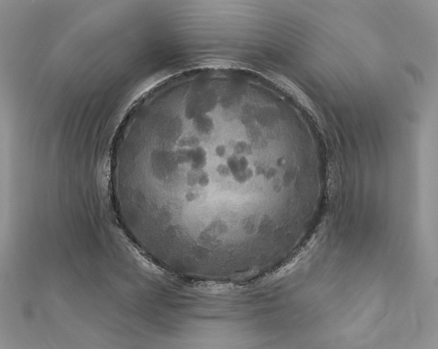X0000113180831200909041341