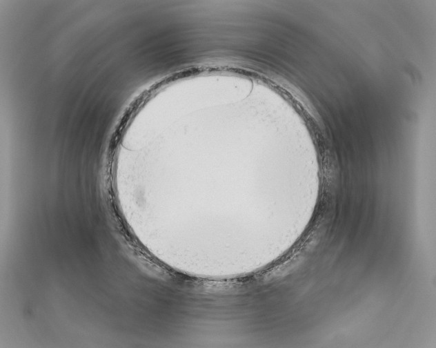 X0000113180832200909041341
