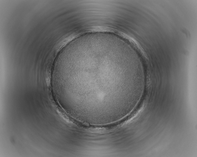 X0000113180833200909041341