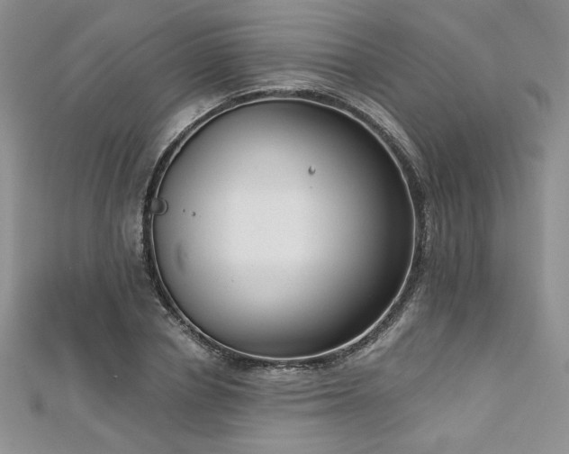 X0000113180834200909041341