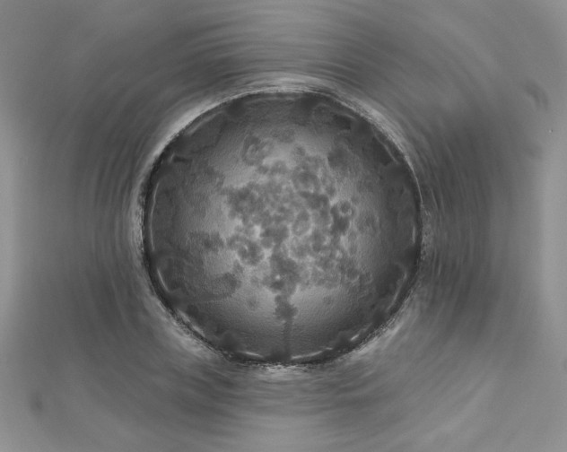 X0000113180835200909041341