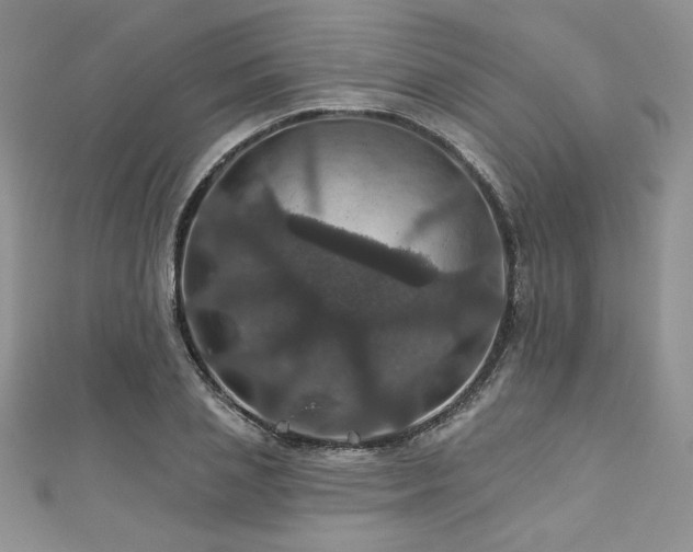 X0000113180837200909041341