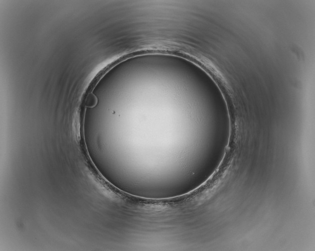 X0000113180838200909041341