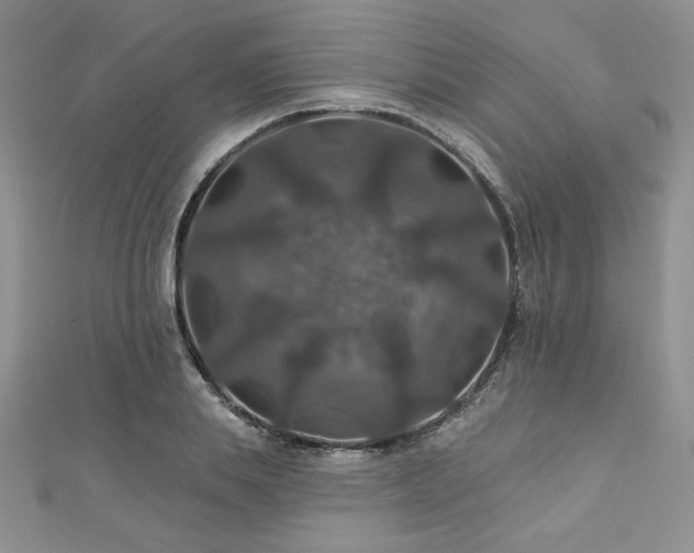 X0000113180839200909041341