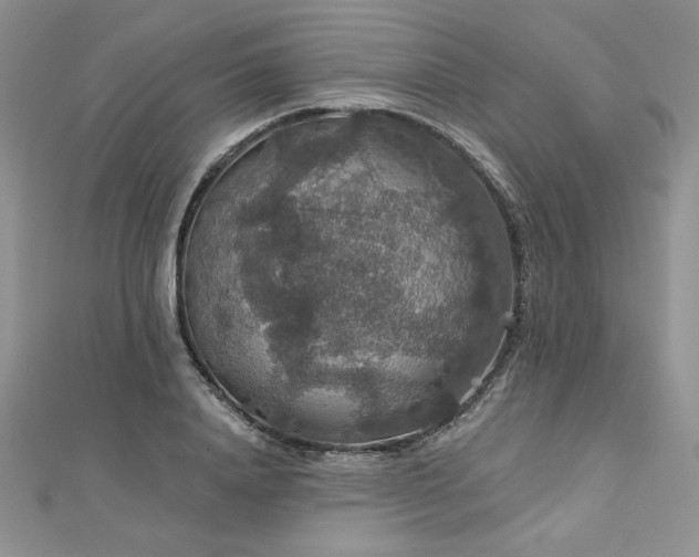 X0000113180840200909041341