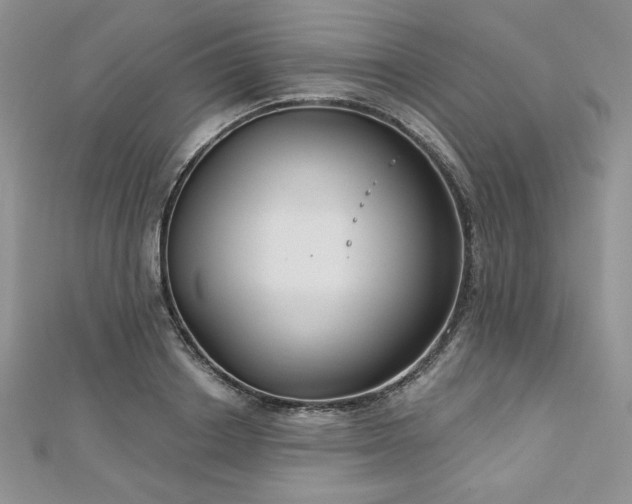 X0000113180842200909041341