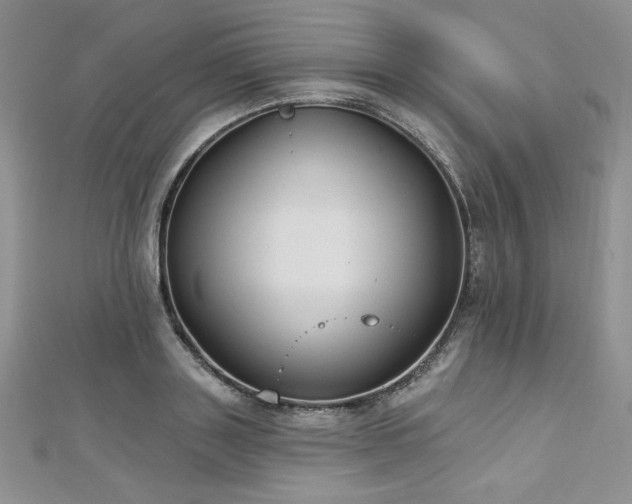 X0000113180843200909041341