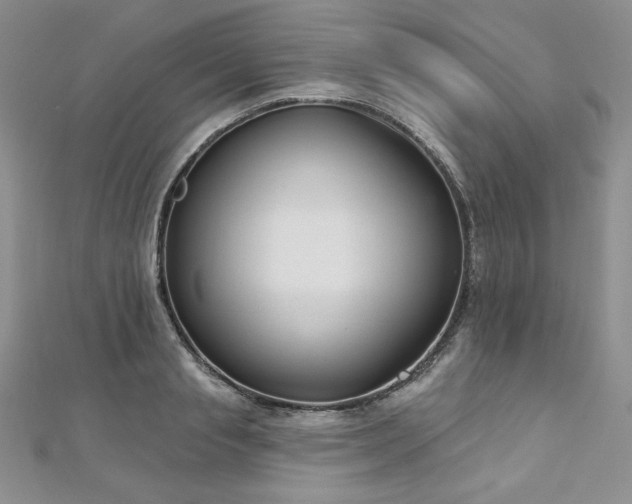 X0000113180845200909041341
