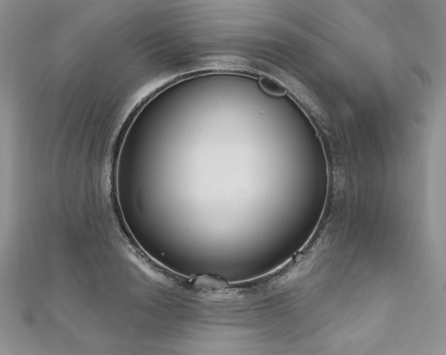 X0000113180846200909041341