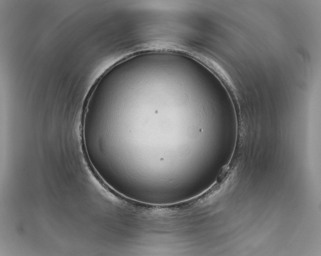 X0000113180847200909041341