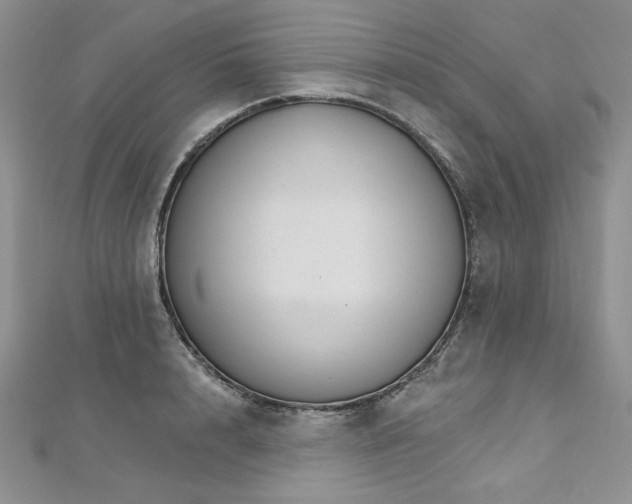 X0000113180848200909041341