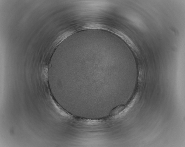 X0000113180849200909041341
