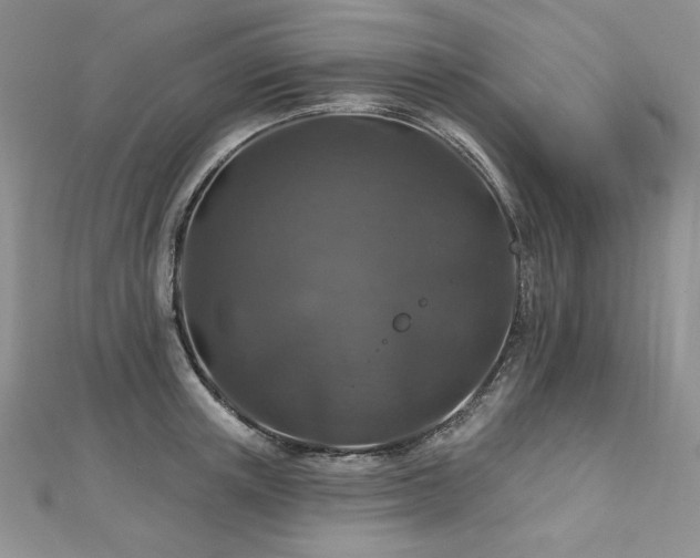X0000113180851200909041341