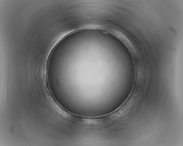 X0000113180852200909041341