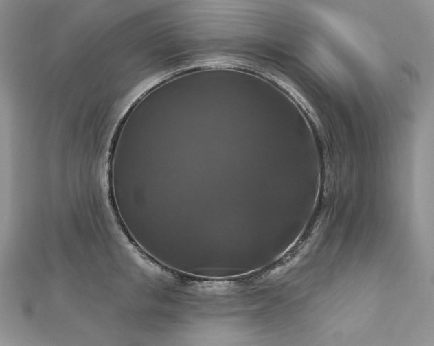 X0000113180853200909041341