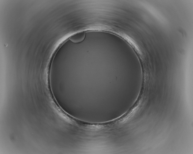 X0000113180854200909041341