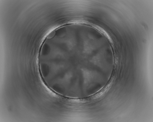 X0000113180855200909041341