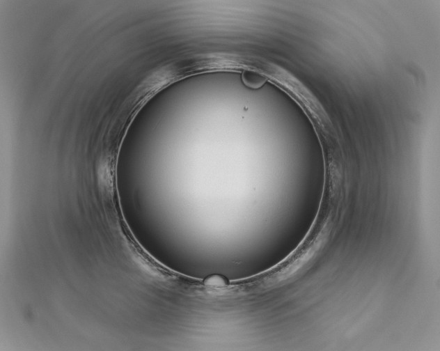 X0000113180857200909041342