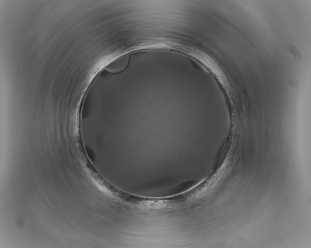 X0000113180858200909041342