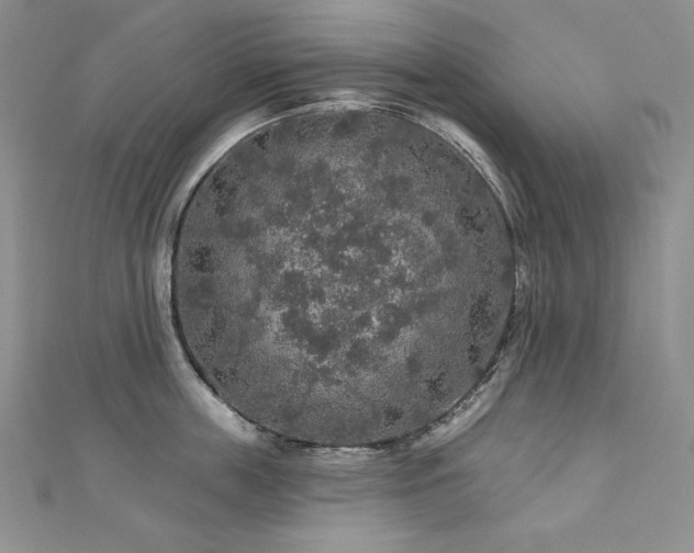 X0000113180859200909041342