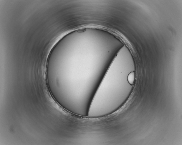 X0000113180860200909041342