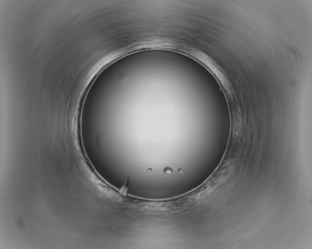 X0000113180861200909041342