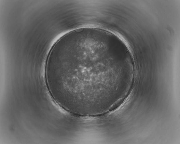 X0000113180862200909041342