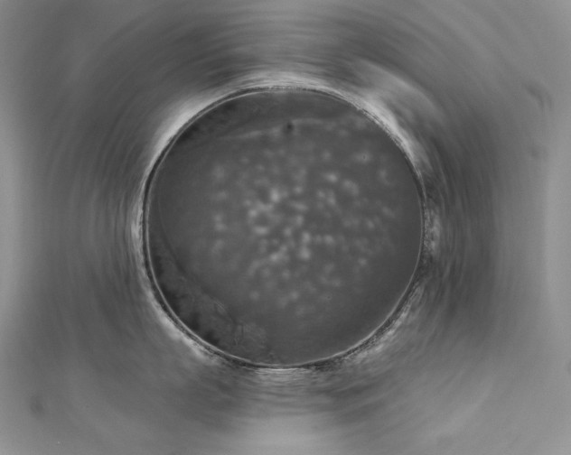 X0000113180863200909041342