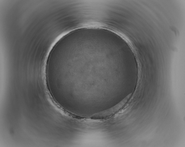 X0000113180864200909041342