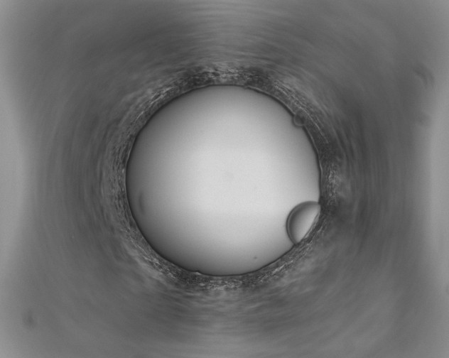 X0000113180865200909041341