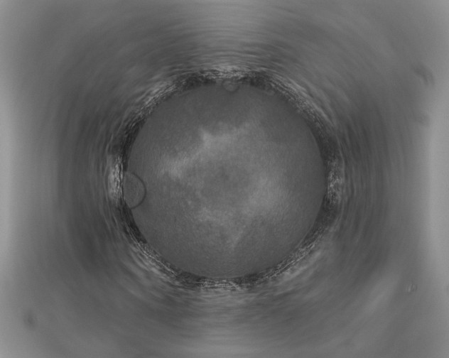 X0000113180866200909041341