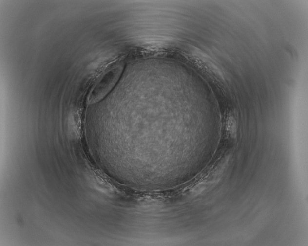 X0000113180868200909041341