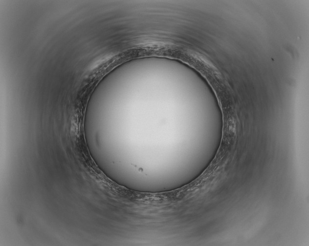 X0000113180869200909041341